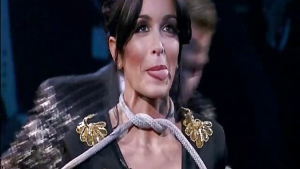 சேவலை விரும்பும் ஒரு குஞ்சு தன் மில்ப் புஸை படுக்கையில் ஊடுருவி வருகிறது