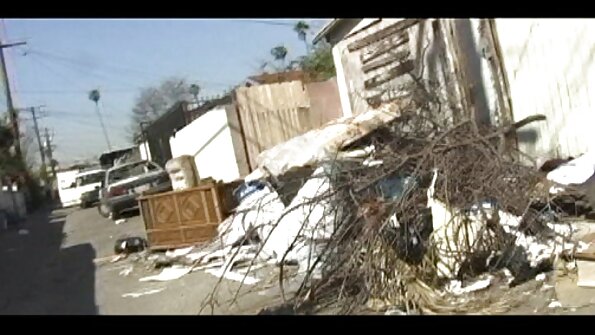 ஒரு பெரிய கழுதை பொன்னிறம், அவளது இளஞ்சிவப்பு நிறத்தில் பெரிய வெட்டுக்களைக் கொண்டுள்ளது