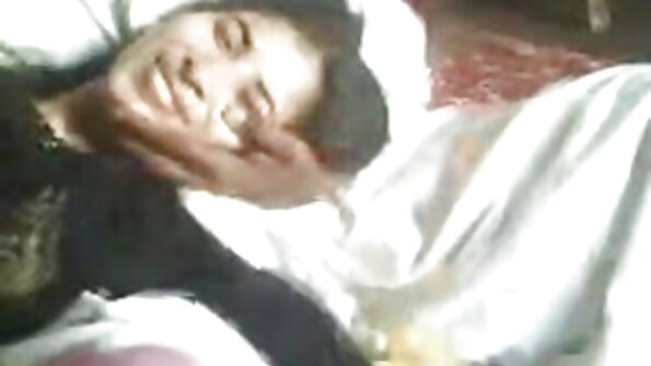 சேவல் நேசிக்கும் ஒரு பொன்னிறம் நாய் பாணி காட்சியில் வளைந்து வருகிறது