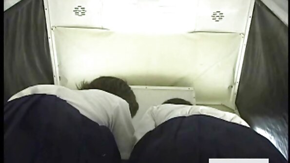 பெரிய போலி தாள்கள் கொண்ட ஒரு குஞ்சு சேவலில் உள்ளது, அது குத்தப்படுகிறது