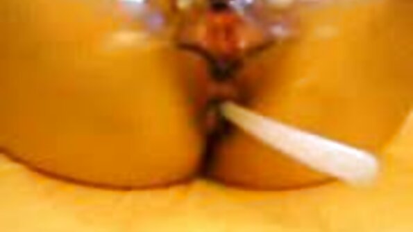 ஒரு முலாட்டோவைக் கண்டுபிடித்து அதை உருவாக்க கருப்பு மனிதன் கடல் முழுவதும் பறந்தான்